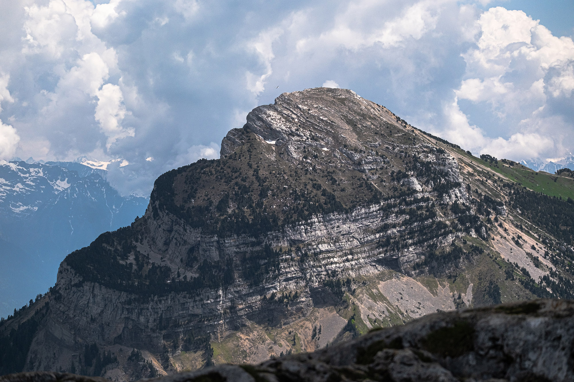 Extraire les données d’une feuille de calcul Google Sheets avec PHP