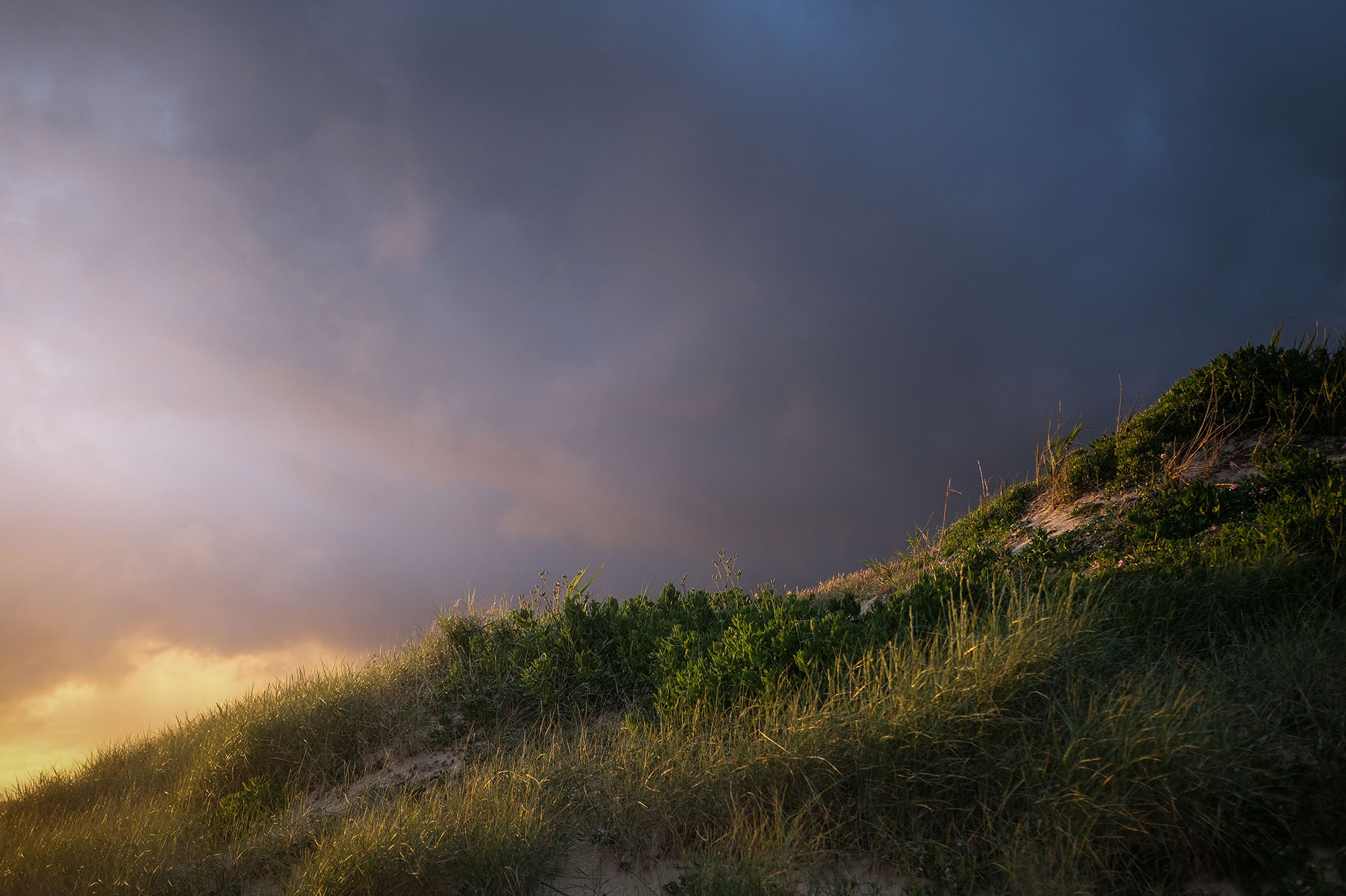 Vue sur une butte de sable envahie par l'herbe à Capbreton durant un coucher de soleil.