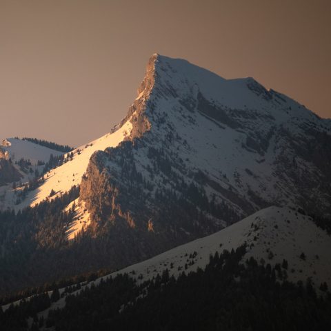 chartreuse-depuis-chamrousse