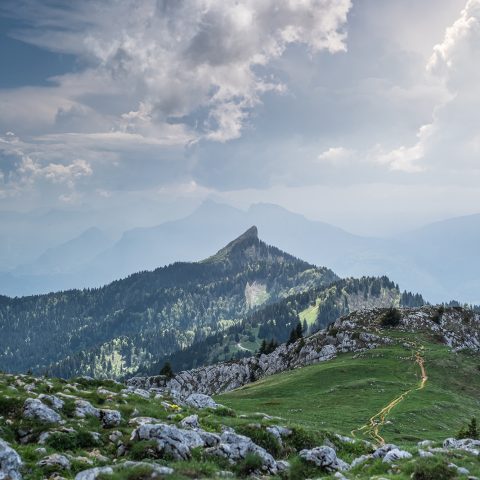 la-pinea-depuis-le-charmant-som